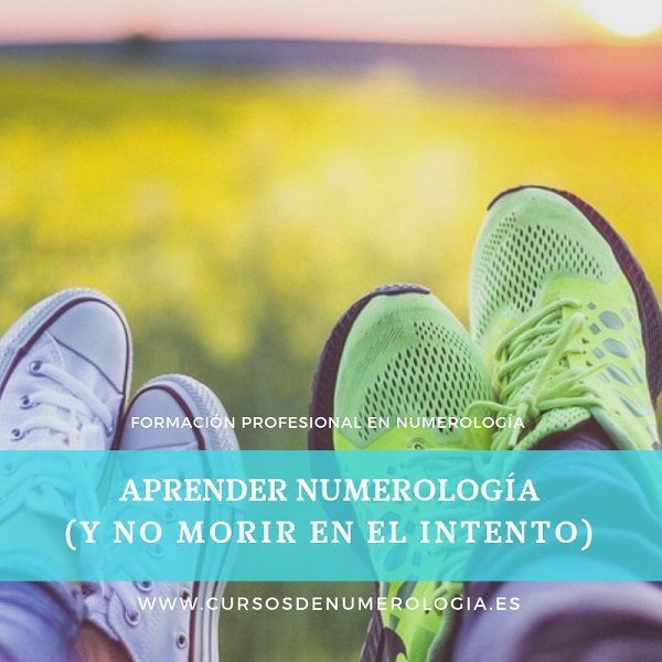 los mejores cursos