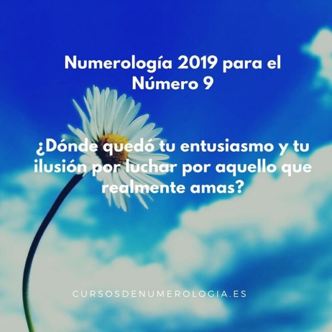 año 2019 para el número 9 año 2019 para el número 9