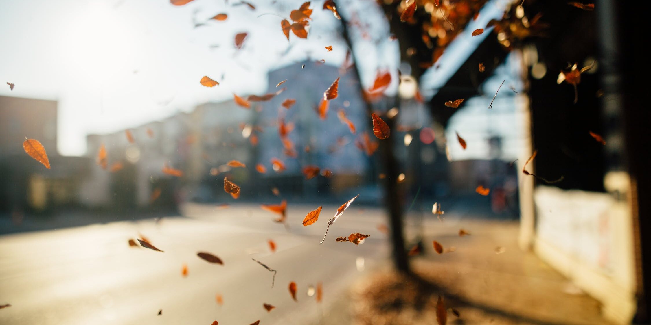 numerologia 9999 numerologia 9999