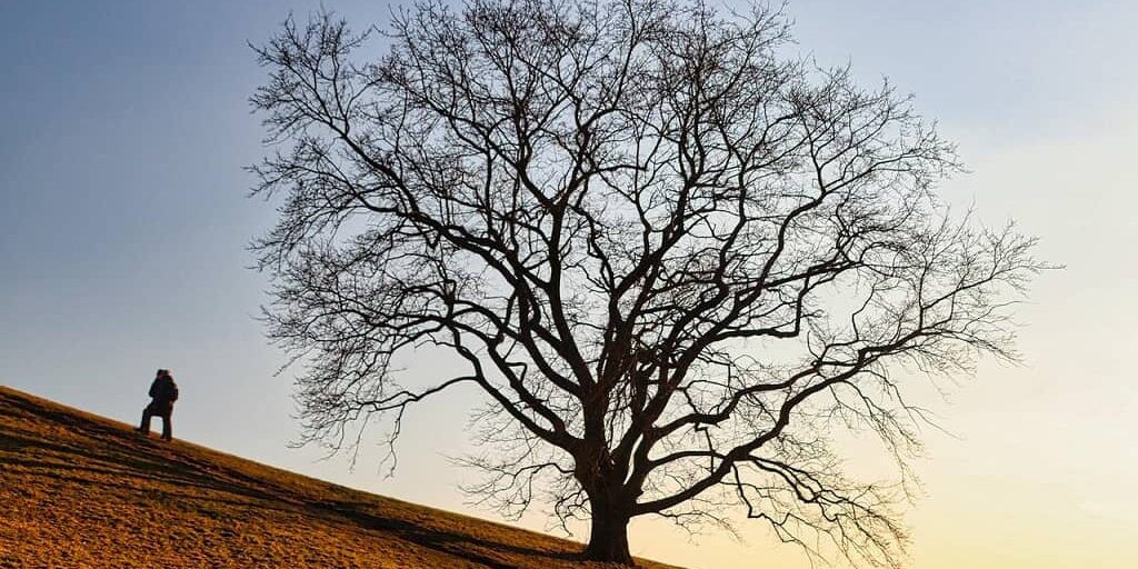 numerologia angeles 1444